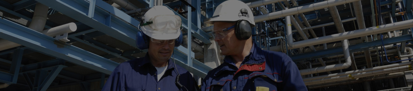 Expert Determination