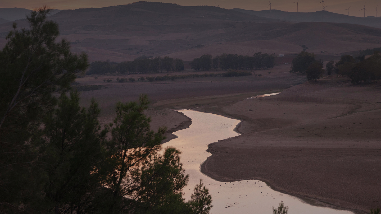 We are specialists in  dispute resolution