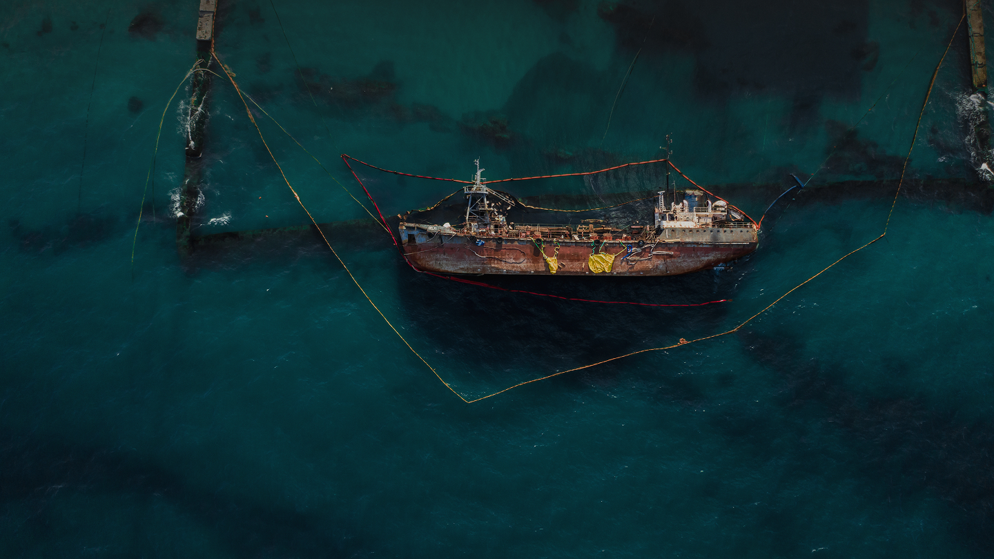 We OFFER EXPERT SERVICES